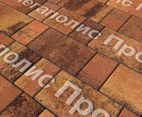 Тротуарная плитка Выбор Старый город Листопад 1Ф.6 60 мм Саванна