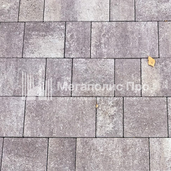 Тротуарная плитка Выбор Старый город Листопад 1Ф.6 60 мм. Хаски Гранит фото 1