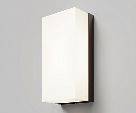 Настенный светильник (бра) Badd Maytoni O454WL-L10GF3K цвет Графит