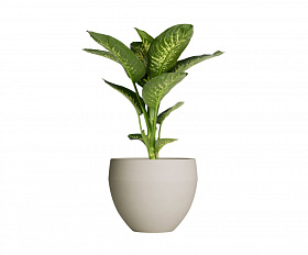 Кашпо Concretika Giro D50х43 Dune