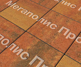 Тротуарные плиты Выбор Квадрум В.1.К.10 300х300х100 мм Листопад Арабская ночь