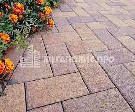 Брусчатка Выбор Прямоугольник Листопад 2.П.6 60 мм. Осень Гранит