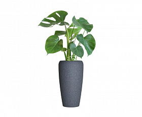 Кашпо Concretika Alto D38(44)х80 Basalt