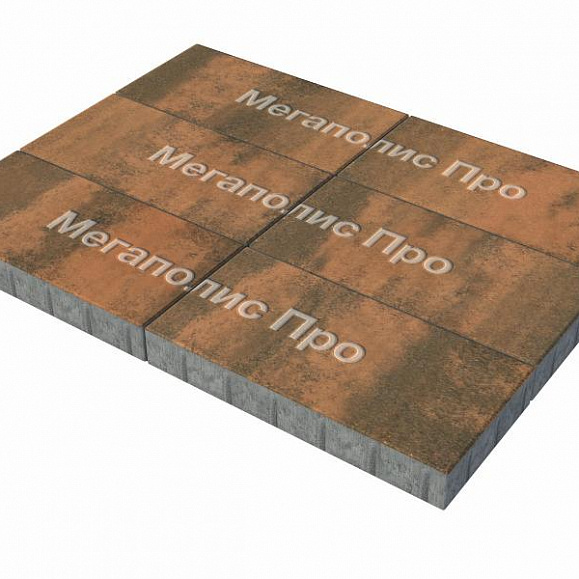 Тротуарная плитка Выбор Прямоугольник Б.5.П.10 600х300х100 мм Листопад Мустанг фото 3