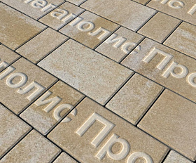 Тротуарная плитка Выбор Старый город Искусственный камень 1Ф.6 60 мм. Степняк