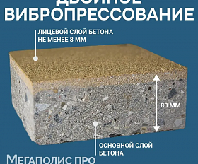 Пошаговая плита для дорожек 1000х500х80 мм Террацо белый с серым