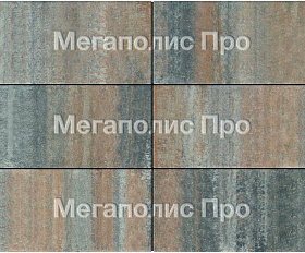 Тротуарная плитка Выбор Прямоугольник Б.5.П.10 600х300х100 мм Листопад Клен