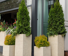 Кашпо Concretika Oval D30 H41 Erosia Yellow