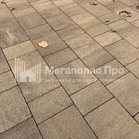 Тротуарная плитка Выбор Старый город Искусственный камень 1Ф.6 60 мм. Плитняк фото 7