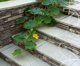 Ступени White Hills 608x324x40 S 910-14 / рядовая