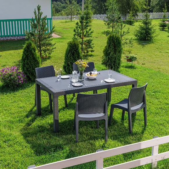 Обеденный комплект July S Royal Family из пластика, цвет графит фото 2