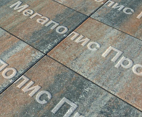 Тротуарная плитка Выбор Прямоугольник Б.5.П.10 600х300х100 мм Листопад Клен