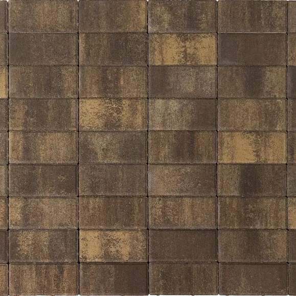 Брусчатка Braer Прямоугольник (кирпич) ColorMix 200х100х60 мм Каштан фото 1