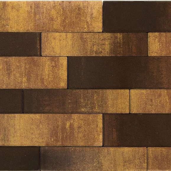 Тротуарная плитка Braer Домино, 60 мм. COLOR MIX «Тип 24 Сафари» фото 1
