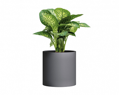 Кашпо Concretika Tube S D49H49 Marengo