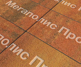 Тротуарная плитка Выбор Прямоугольник Б.5.П.8 600х300х80 мм Листопад Гранит Арабская ночь