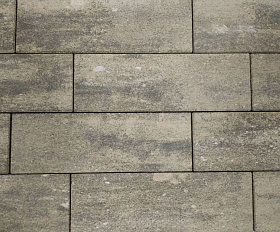 Тротуарная плитка Лидер 40 Паркет ColorMix 80мм Змеевик