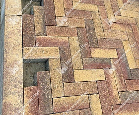 Тротуарная плитка Выбор Паркет Б.4.П.6 Листопад Гранит Осень