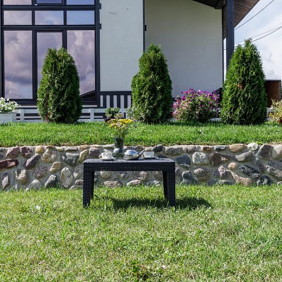 Лаунж стол Lana Royal Family из пластика, цвет графит фото 3