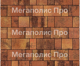 Тротуарная плитка Выбор Старый город Листопад 1Ф.6 60 мм. Саванна Гранит