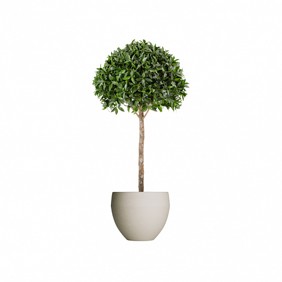 Кашпо TERRAFAKTURA Гира D70x60 Дюна фото 1