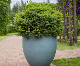 Кашпо Concretika Oval D30 H41 Cloudy Blue