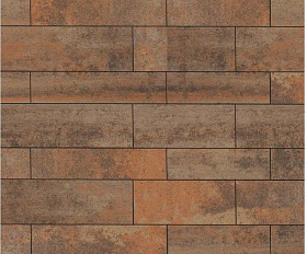 Тротуарная плитка Выбор Паркет мультиформатный Б.16.Псм.8 80 мм Листопад Клен