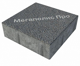 Тротуарная плитка Фабрика Готика Квадрат 200х200х60 мм Сильвер 13