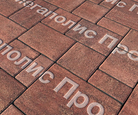 Тротуарная плитка Выбор Мюнхен Б.2. Фсм.6 60 мм Листопад Барселона