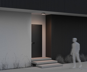 Потолочный светильник Zon IP Maytoni O431CL-L30B3K цвет Черный