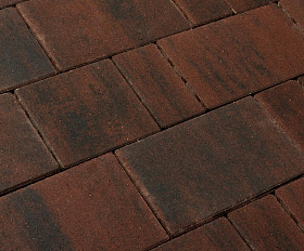 Тротуарная плитка 342 Механический завод Новый Город ColorMix 40мм Гаванна