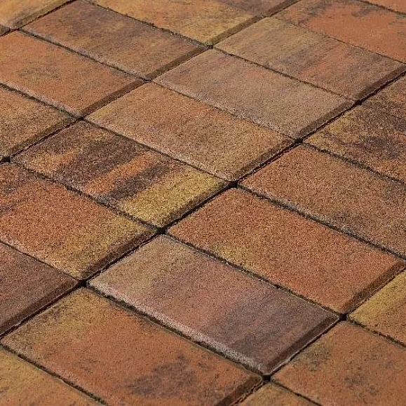 Брусчатка Braer Прямоугольник (кирпич) ColorMix 200х100х60 мм Прайд фото 3