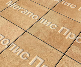 Тротуарные плиты Выбор Квадрат Б.1.К.6 300х300х60 мм Листопад Сахара