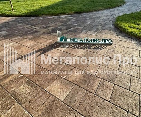 Тротуарная плитка Выбор Старый город Листопад 1Ф.6 60 мм. Хаски Гранит