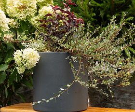 Кашпо TERRAFAKTURA Тюб S D40H40 Маренго