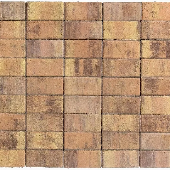 Брусчатка Braer Прямоугольник (кирпич) ColorMix 200х100х40 мм Прайд фото 1