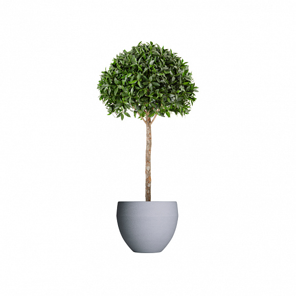 Кашпо TERRAFAKTURA Гира D70x60 Арктик Грей фото 1