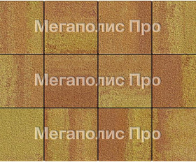 Тротуарные плиты Выбор Квадрат Б.1.К.8 300х300х80 мм Листопад Гранит Каир