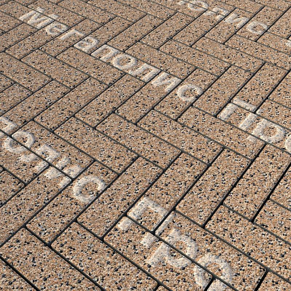 Тротуарная плитка Выбор Паркет Б.4.П.6 Стоунмикс Кремовый с черным фото 1