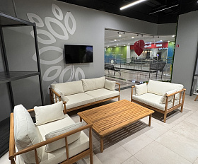 Лаунж-зона Alice Royal Family из натурального дерева