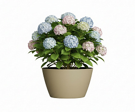 Кашпо Concretika Боул D80H45 Имбирный 1019