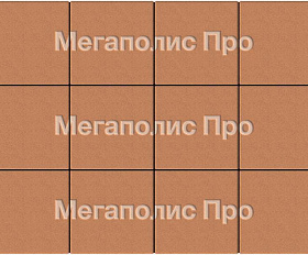 Тротуарные плиты Выбор Квадрат Б.1.К.6 300х300х60 мм Стандарт Оранжевый