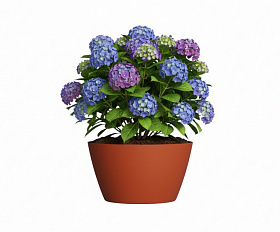 Кашпо Concretika Боул D80H45 Терракота 110 252