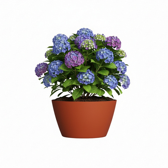 Кашпо Concretika Боул D80H45 Терракота 110 252 фото 6