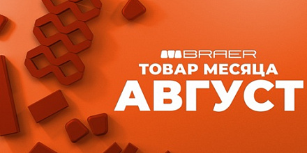 Акция на тротуарную плитку Braer