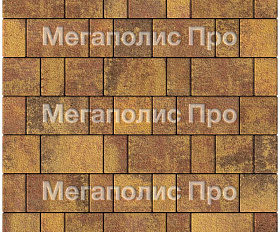 Тротуарная плитка Выбор Старый город Листопад 1Ф.6 60 мм. Осень Гранит