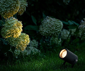 Уличный светильник Elektrostandard Landscape 35146/S черный