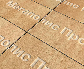 Тротуарная плитка Выбор Прямоугольник Б.5.П.8 600х300х80 мм Листопад Сахара