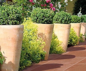 Фронтальная ступень WKS31120 Westerwalder Klinker Atrium