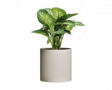 Кашпо Concretika Tube S D49H49 Dune